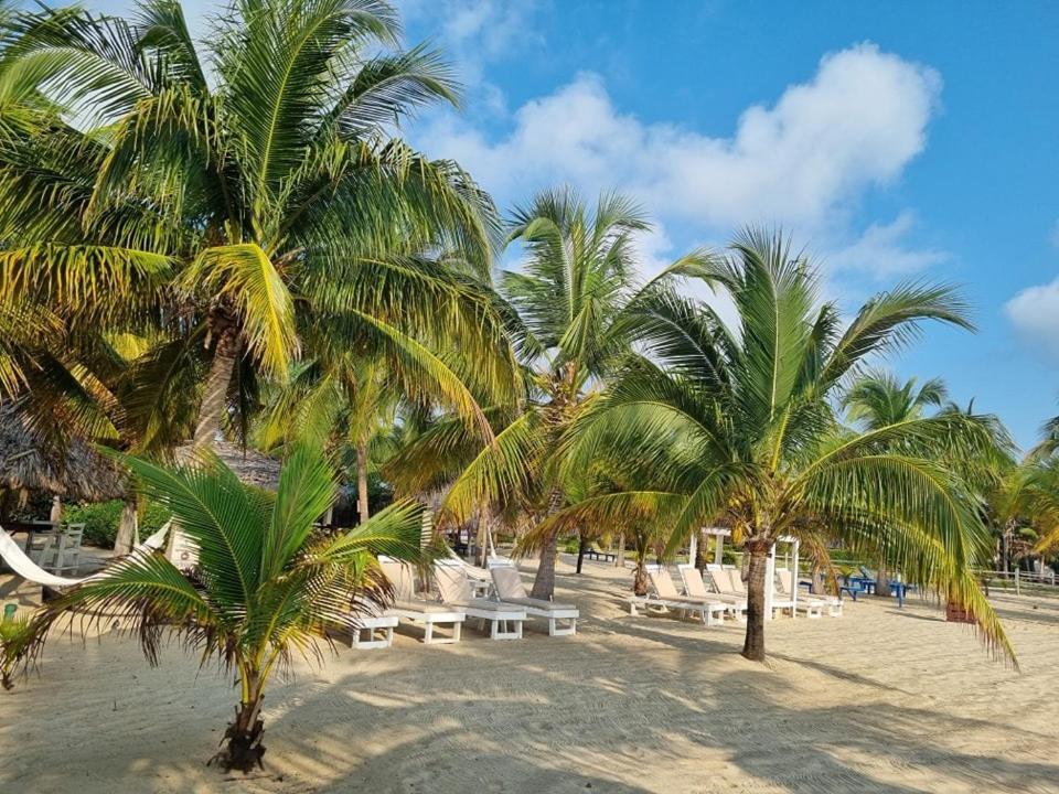 Caribbean Beach Cabanas Placencia Екстериор снимка