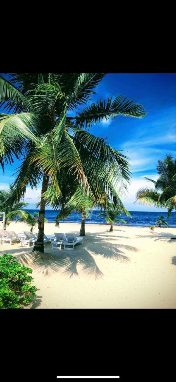 Caribbean Beach Cabanas Placencia Екстериор снимка